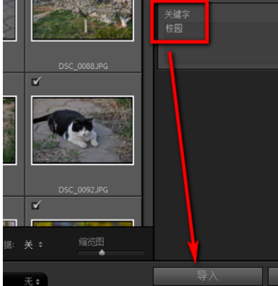 经验分享Lightroom给照片加上关键字的操作方法
