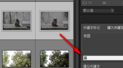 经验分享Lightroom给照片加上关键字的操作方法