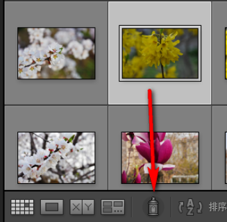 经验分享Lightroom给照片加上关键字的操作方法