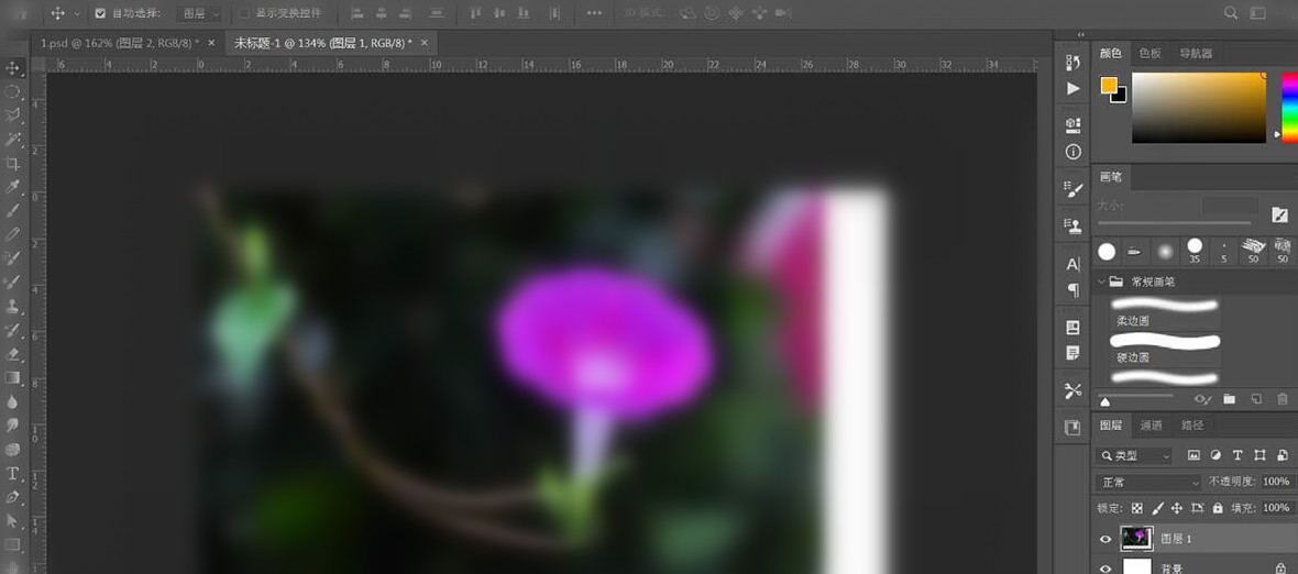 经验分享photoshop设计逼真的牵牛花插画的操作方法