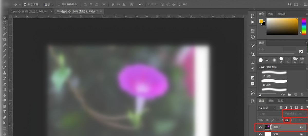 经验分享photoshop设计逼真的牵牛花插画的操作方法