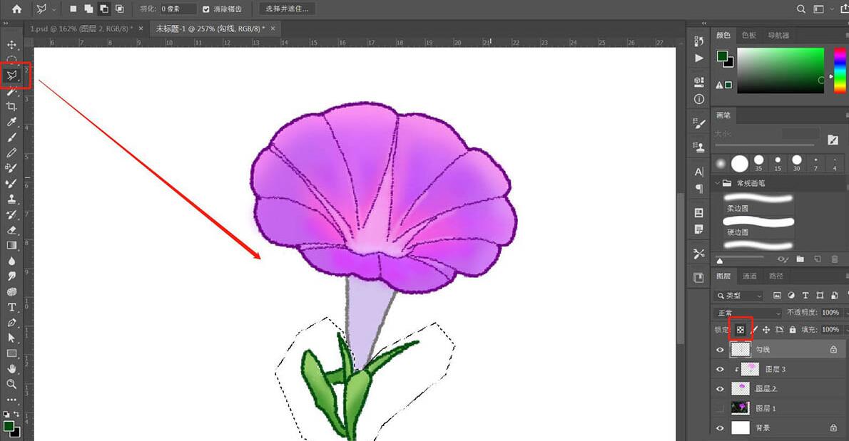 经验分享photoshop设计逼真的牵牛花插画的操作方法