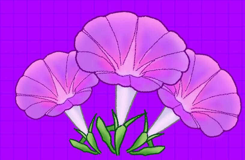 经验分享photoshop设计逼真的牵牛花插画的操作方法
