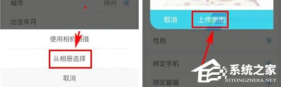 经验分享收留我APP怎么上传照片