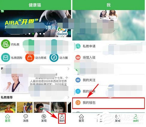 经验分享健康猫如何提现