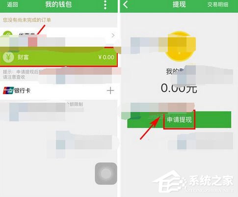 经验分享健康猫如何提现
