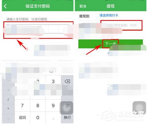 经验分享健康猫如何提现