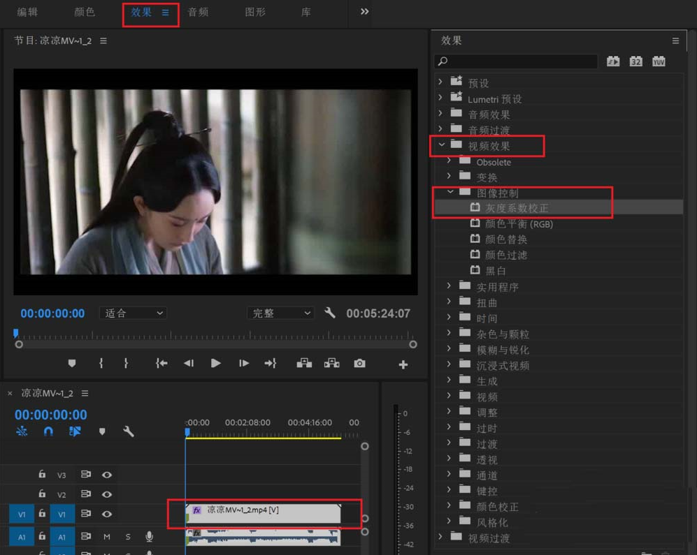 经验分享如何用Premiere2018视频校正灰度系数