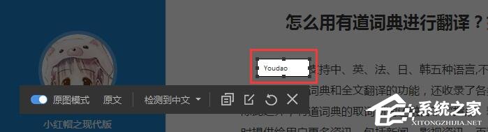 经验分享有道词典怎么使用