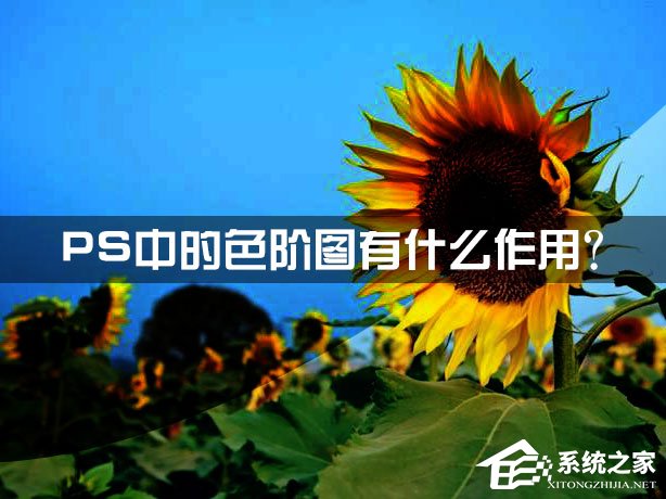 经验分享色阶是什么