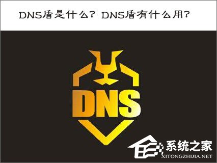 经验分享DNS盾是什么（私人dns是什么意思）