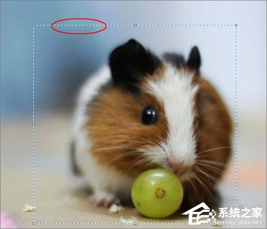 经验分享如何使用画图工具裁剪图片