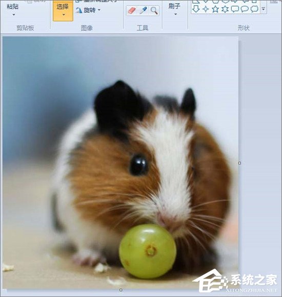 经验分享如何使用画图工具裁剪图片