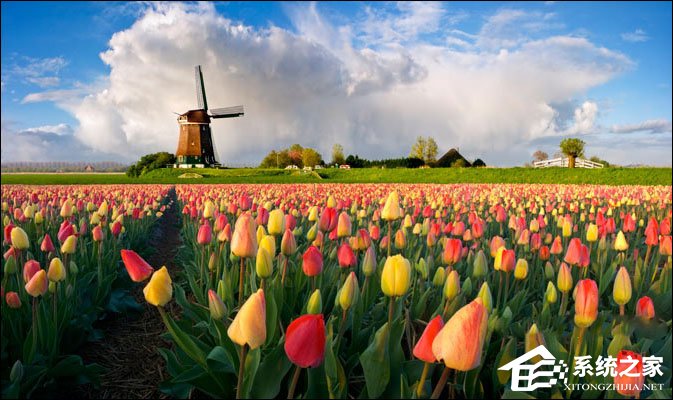 经验分享PS图片处理软件怎么将照片处理成油画效果