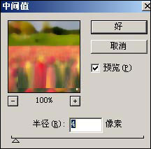 经验分享PS图片处理软件怎么将照片处理成油画效果