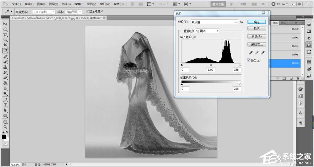 经验分享ps如何抠图（ps如何抠图到另一张图）