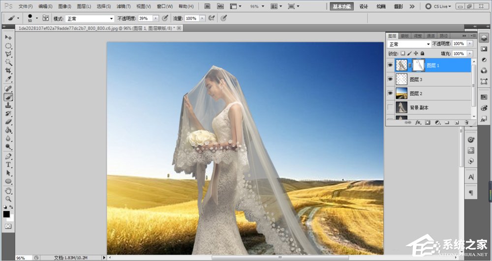 经验分享ps如何抠图（ps如何抠图到另一张图）