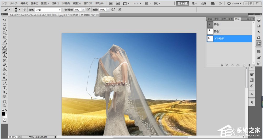 经验分享ps如何抠图（ps如何抠图到另一张图）