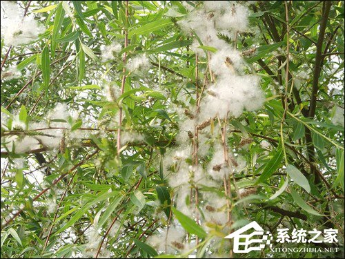 经验分享防尘机箱如何选购