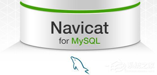经验分享navicat