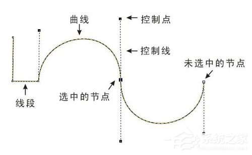 经验分享PS钢笔工具怎么用（ps钢笔工具怎么用画笔描边）