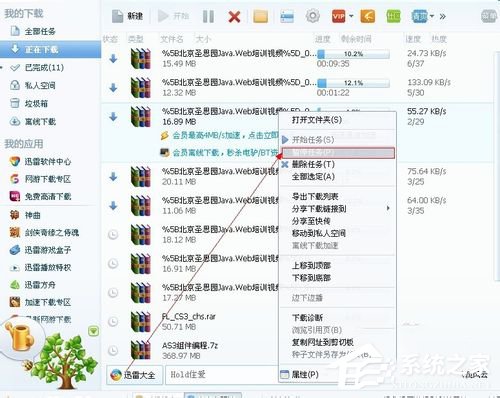 经验分享迅雷下载速度慢怎么办