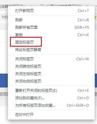 经验分享360极速浏览器固定标签页方法我来说说（360极速浏览器新标签页怎么换网址）