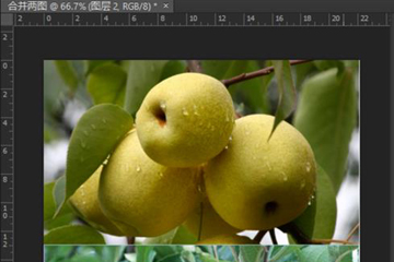 经验分享Photoshop怎么把两张图片合成一张
