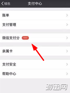 经验分享微信支付分查看方法图文教程介绍