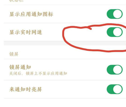 经验分享锤子手机中设置显示实时网速具体操作步骤