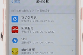 经验分享支付宝中查看授权软件具体操作流程