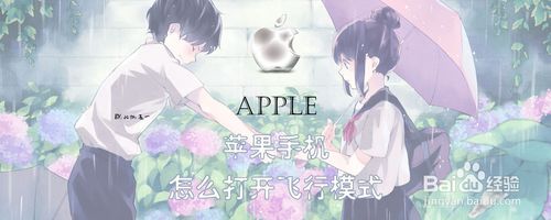 经验分享苹果手机如何打开飞行模式。