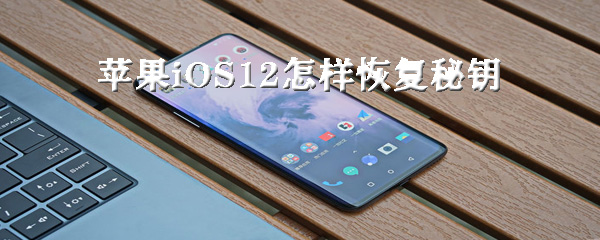 经验分享苹果iOS12怎么恢复秘钥。