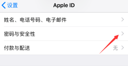 经验分享苹果iOS12怎么恢复秘钥。
