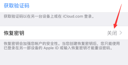 经验分享苹果iOS12怎么恢复秘钥。