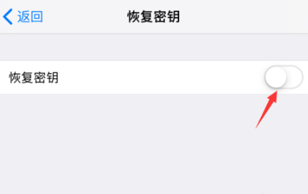 经验分享苹果iOS12怎么恢复秘钥。
