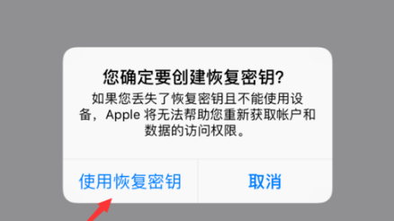 经验分享苹果iOS12怎么恢复秘钥。