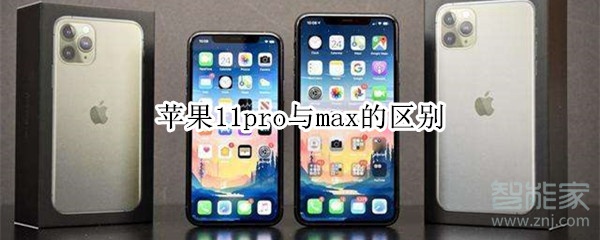 经验分享苹果11pro与max有哪些区别。