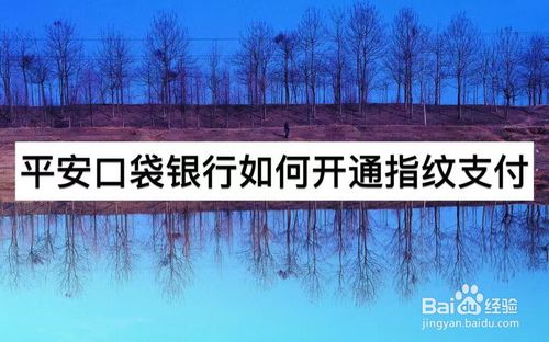 经验分享平安口袋银行怎么开通指纹支付。