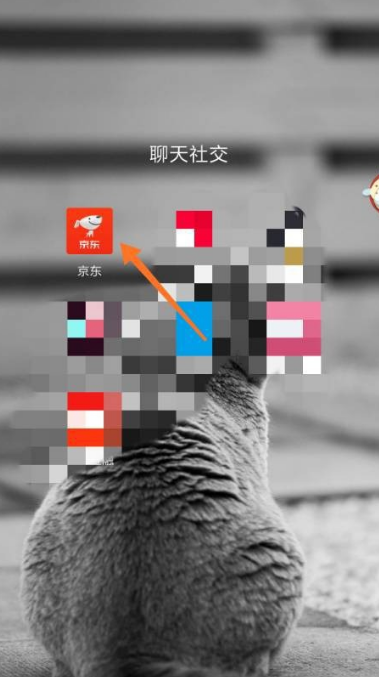 经验分享京东快递如何查询物流。