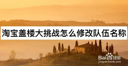 经验分享淘宝盖楼大挑战如何修改队伍名称。