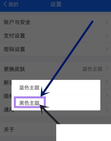 经验分享在蚂蚁财富APP中设置主题皮肤的具体步骤。