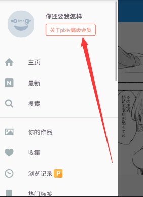 经验分享pixiv注册高级会员的方法讲解。