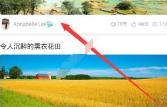 经验分享美篇APP中关注别人的具体步骤。
