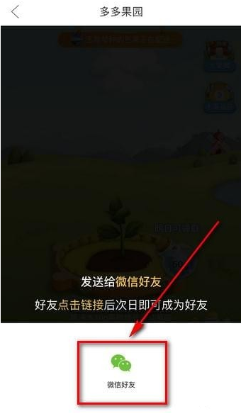 经验分享在拼多多果园APP中加好友的图文教程。
