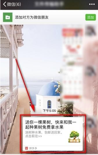 经验分享在拼多多果园APP中加好友的图文教程。