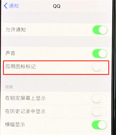 经验分享iphonexs关闭APP小红点的操作流程。