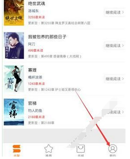 经验分享在奇热小说中进行充值的步骤讲解。