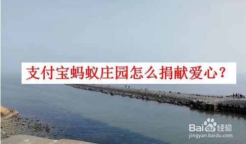 经验分享支付宝蚂蚁庄园如何捐献爱心。