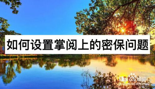 经验分享怎么设置掌阅上的密保问题。